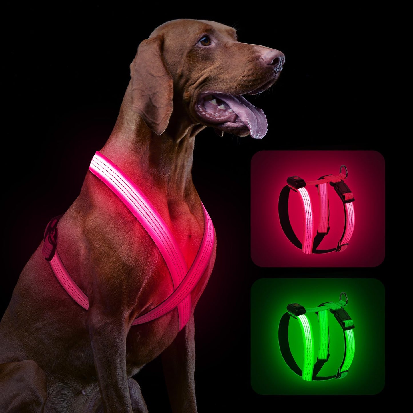Rechargeable LED Dog Harness for Night Walks